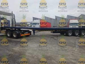 859 (1)