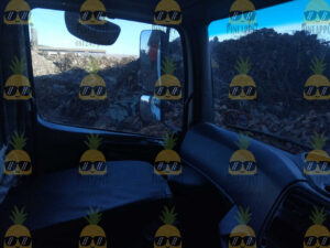 1174 (8)